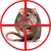 Уничтожение крыс